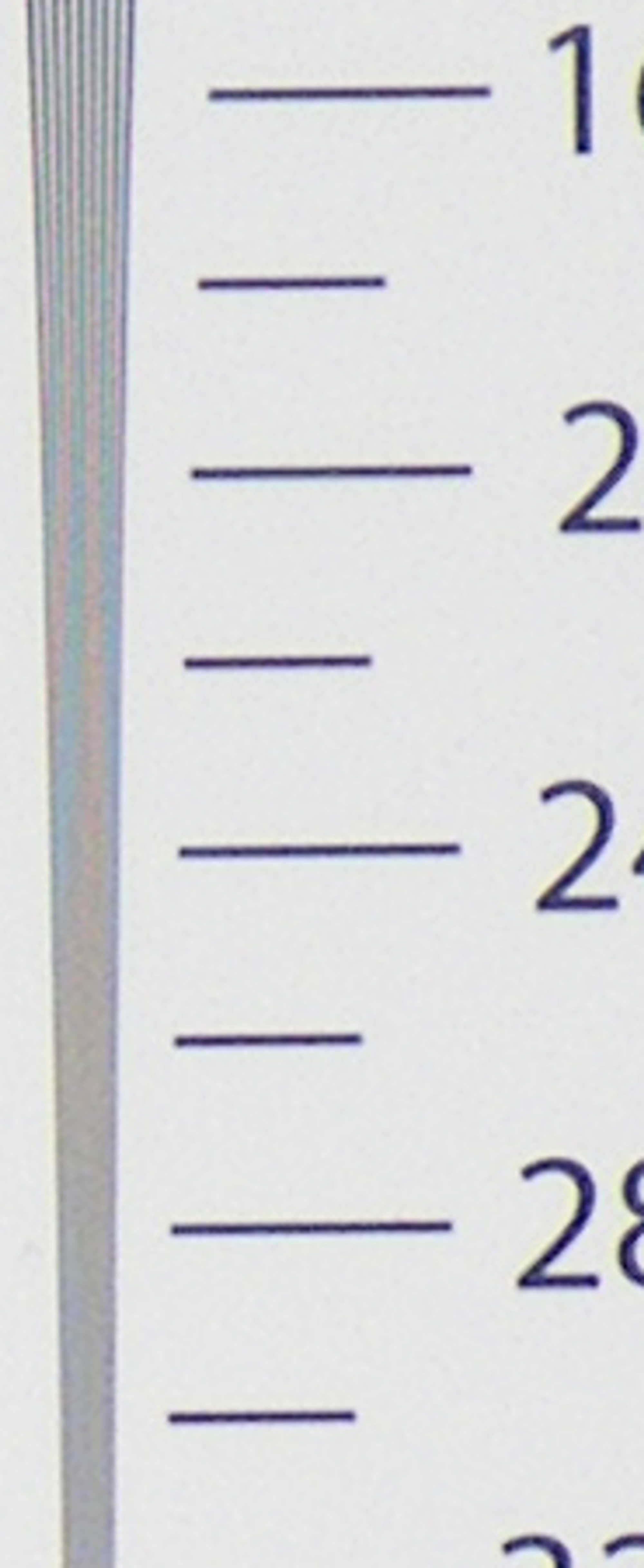 Sinekart S60, ISO 100