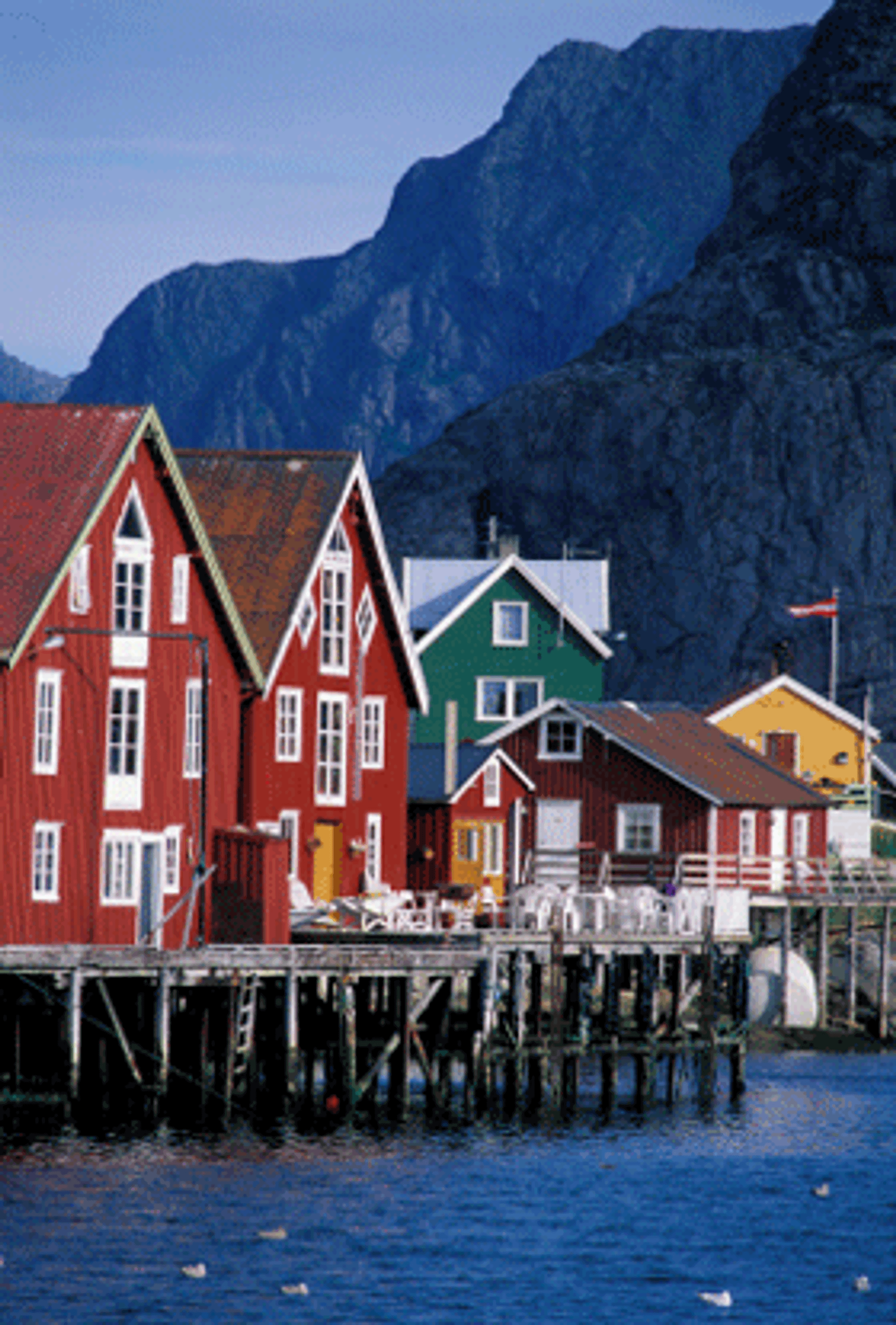 LOFOTEN: Opplevelser i maritime omgivelser!