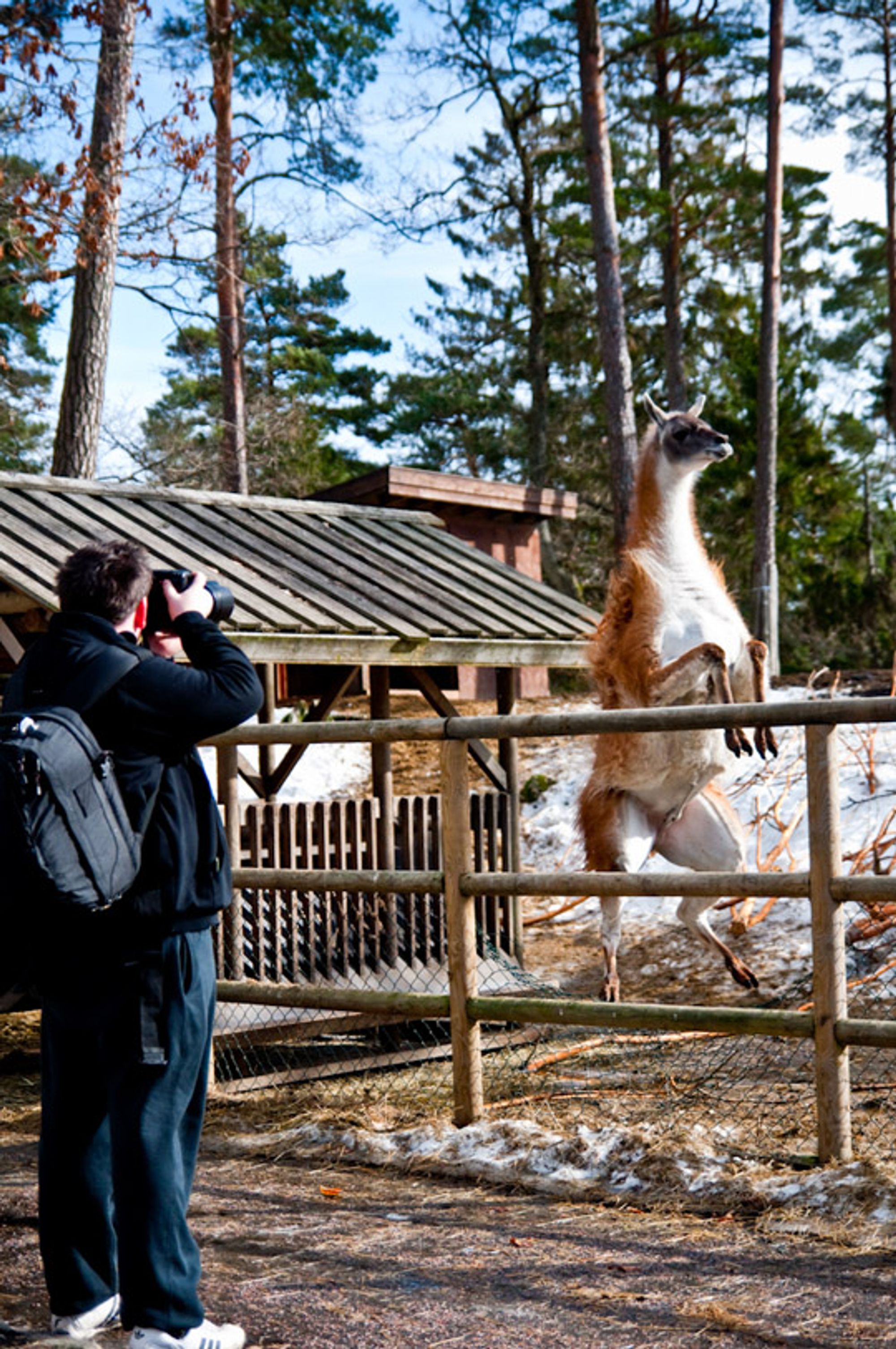 Posøren og fotografen I.
Foto: archongamer