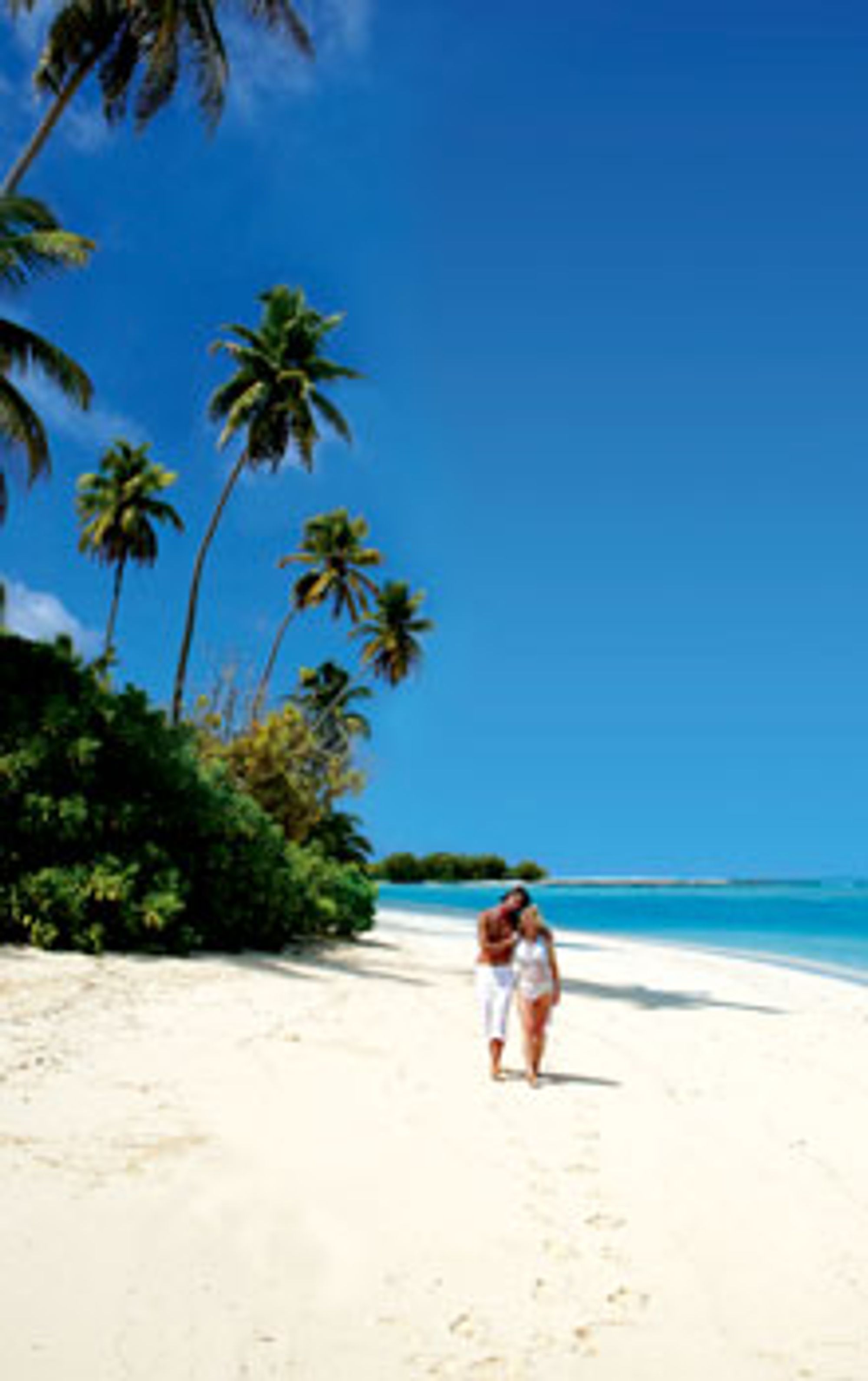 Seychellene er et paradis for mange. Foto: Paradisreiser