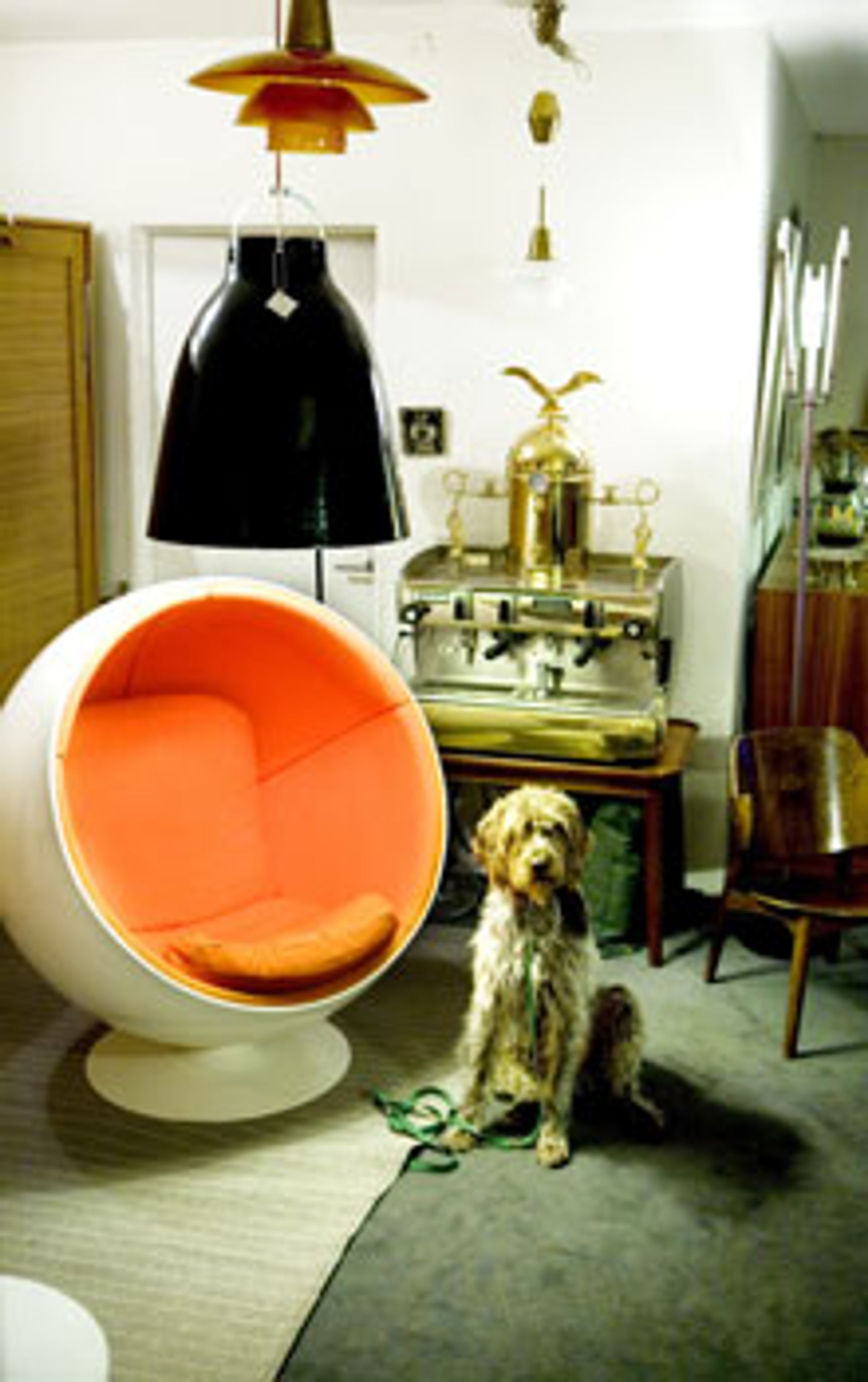 : I Åboulevarden finner du Classique, en butikk fylt med originale møbler og andre designgjenstander fra forrige århundre. Her har hunden til butikkeierens venn satt seg lydig ned ved siden av en original Ball Chair, designet av finske Eero Aarnio i 1963. Foto: Anne Elisabeth Næss.