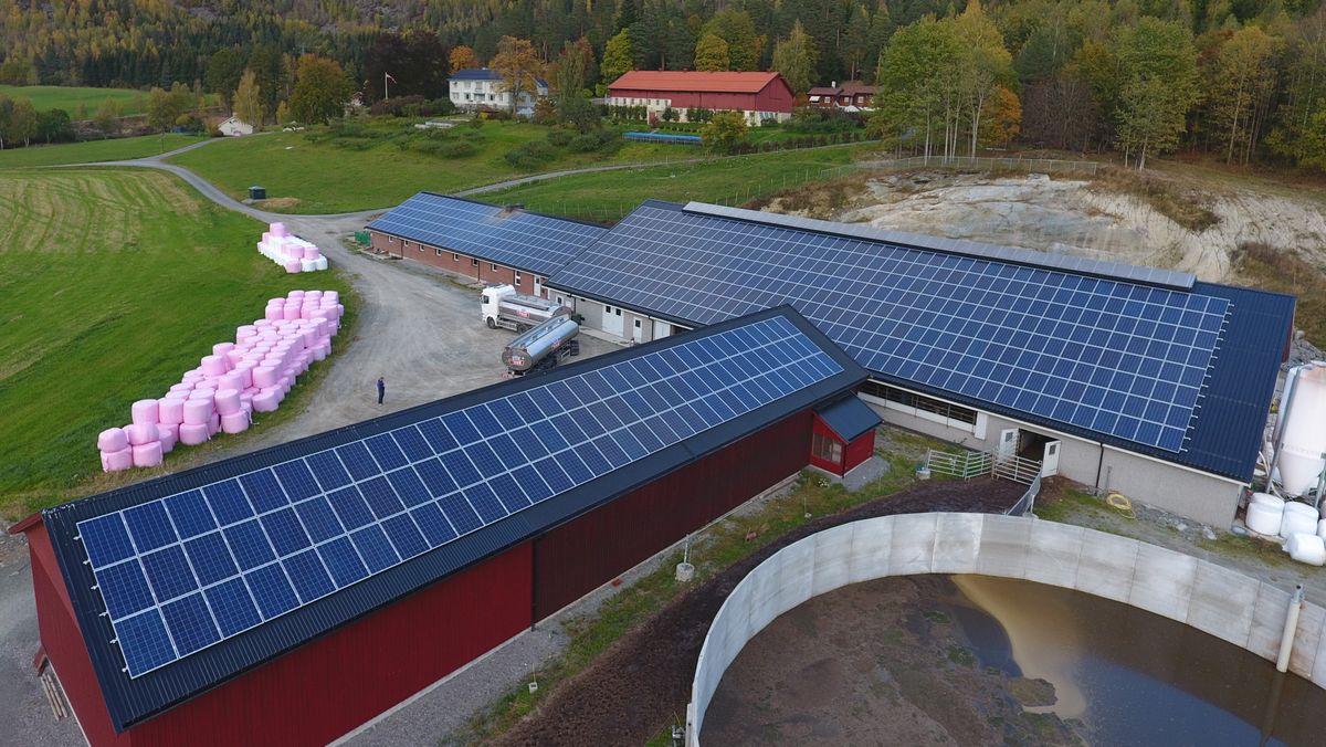 Solceller er en kjempeutfordring for nettselskapene – slik skal ...