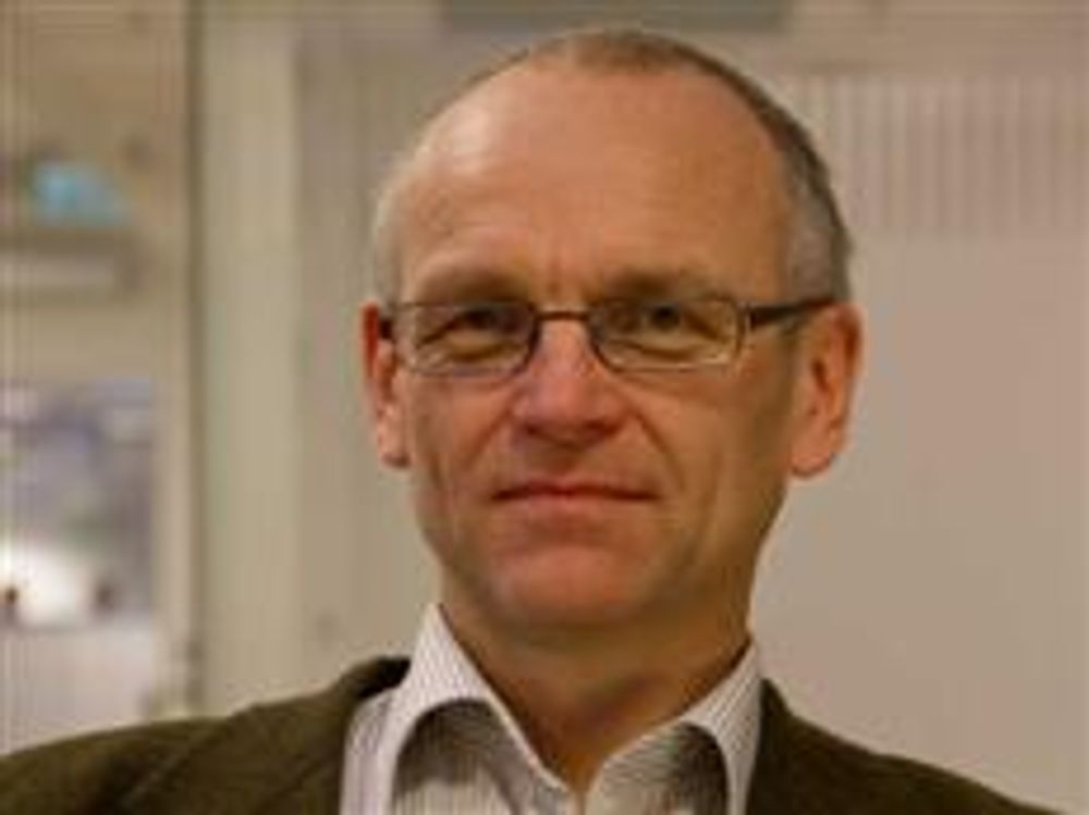 <p>Seksjonssjef Nils Martin Espegren i avdelingen for nettjenester i NVE.&nbsp;</p>