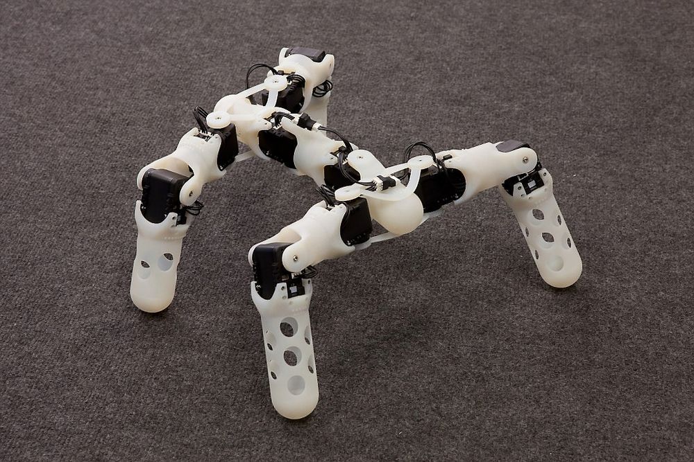 Robotforsknng ved Universitet i Oslo, UiO. Her en fleksibel robot utviklet av stipendiat Einvind Samuelsen og førsteamanuensis Kyrre Glette