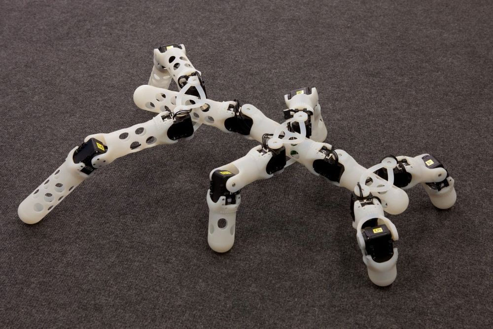 En fleksibel robot laget med 3D-printer på UiO. Et fremtidig mål er at den skal ha med seg egen 3D-printer for å lage sine egne reservedeler eller spesialdeler den måtte få behov for. Foto: Eivind Samuelsen, UiO. 