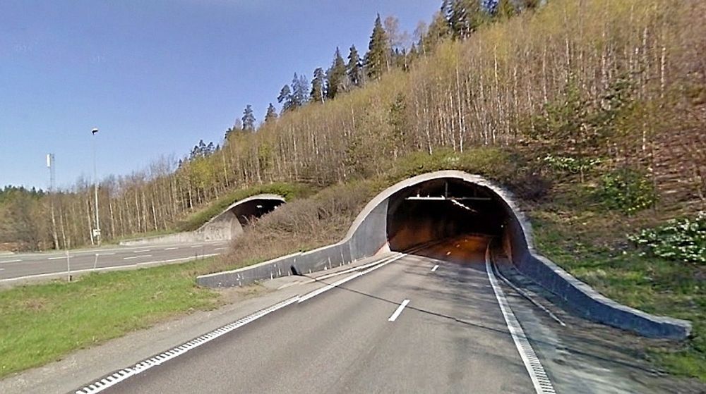 19. mai er datoen entreprenører må merke seg hvis de har lyst til å oppgradere denne tunnelen. Bildet viser de søndre portalene. (Foto: Google)