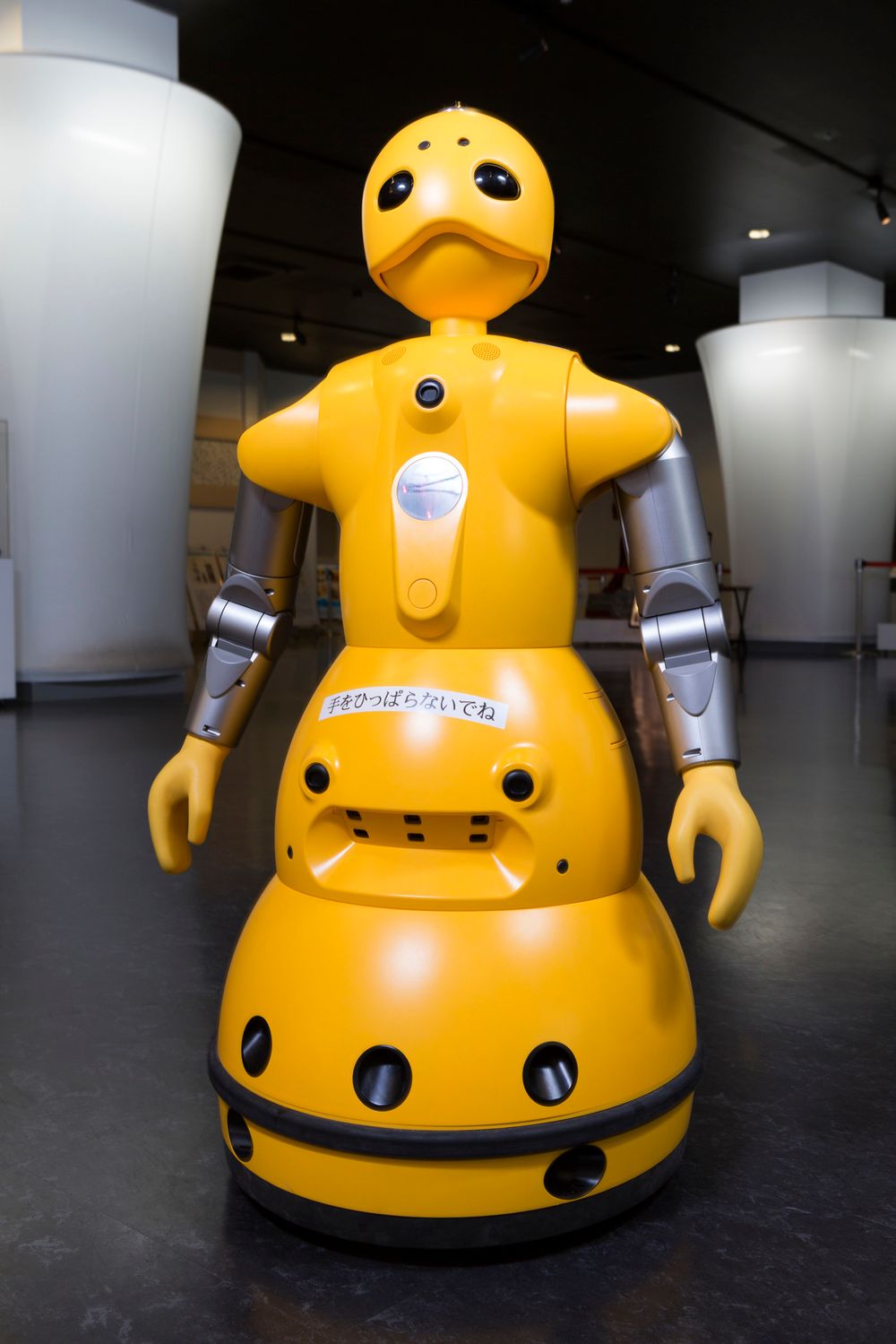 A robot at the robotics company Cyberdyne, Japan.