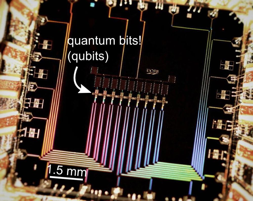 Enheten forskerne har brukt i forsøkene. Man ser tydelig de ni qubitene til enheten. Hver qubit samhandler med naboene for å beskytte dem mot feil.