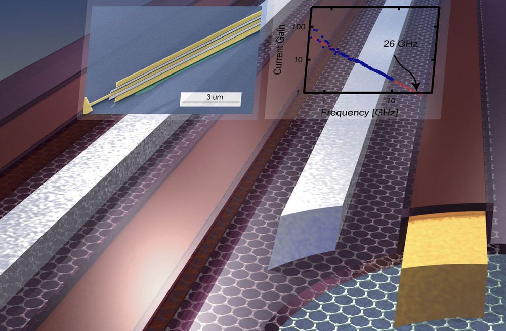 Illustrasjon av IBMs grafentransistor. Grafenen gjenkjennes som det hønsenettinglignende materialet underst.