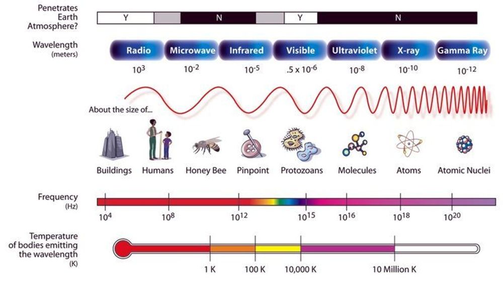 Det elektromagnetiske spektrumet. T-ray ligger rett til høyre for mikrobølger, i ytterkanten av infrarød stråling.
