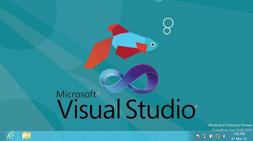 Microsoft skal komme med en versjon av Visual Studio Express 2012 for utvikling av applikasjoner til Windows Desktop.