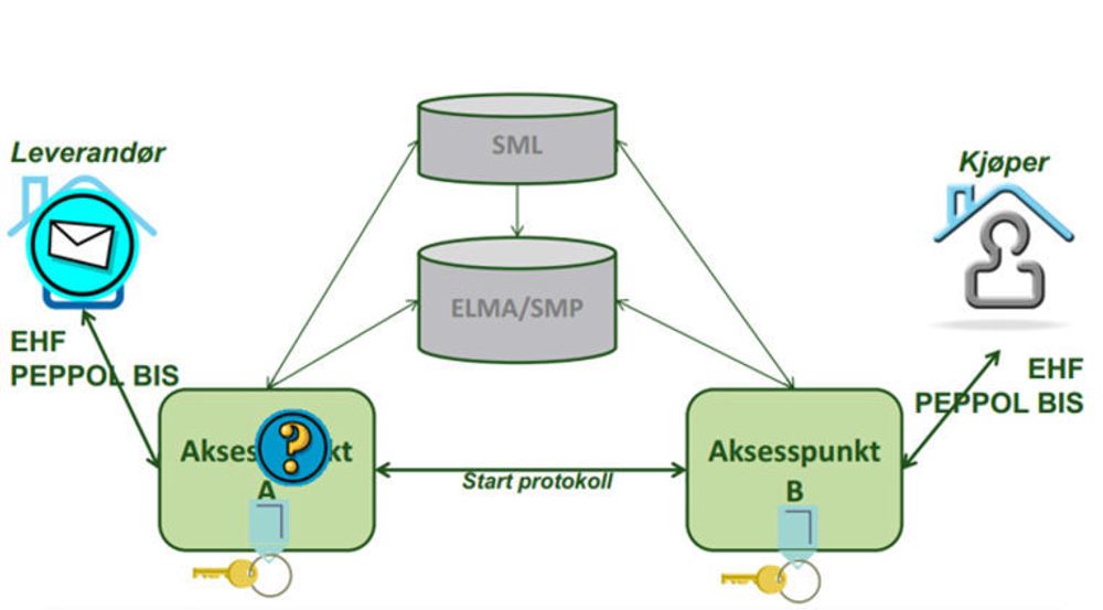 PEPPOL-infrastrukturen bygger på et nettverk av aksesspunkter. Leverandør sender fakturaen til sitt aksesspunkt, som slår opp i en katalog (ELMA er den norske katalogen) for å hvilket aksesspunkt kjøperen bruker, og sender fakturaen til dette aksesspunktet. PEPPOL BIS er EUs fakturaformat. Det norske formatet EHF tilfredsstiller PEPPOL BIS, men inneholder tillegg som følge av særnorske regler.