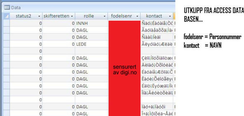 Slik fremstår dataene i Accesstabellen. Digi.no har sensurert innholdet i kolonnen for fødselsnummer. (Foto: skjermbilde)