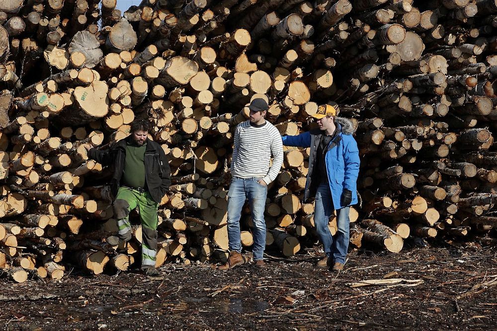 Gründerne jobber i øyeblikket med å bygge tre pilotmaskiner som skal testes ut hos vedprodusenter til høsten. I midten er gründer Ole Holtet, sammen med en svensk vedprodusent.