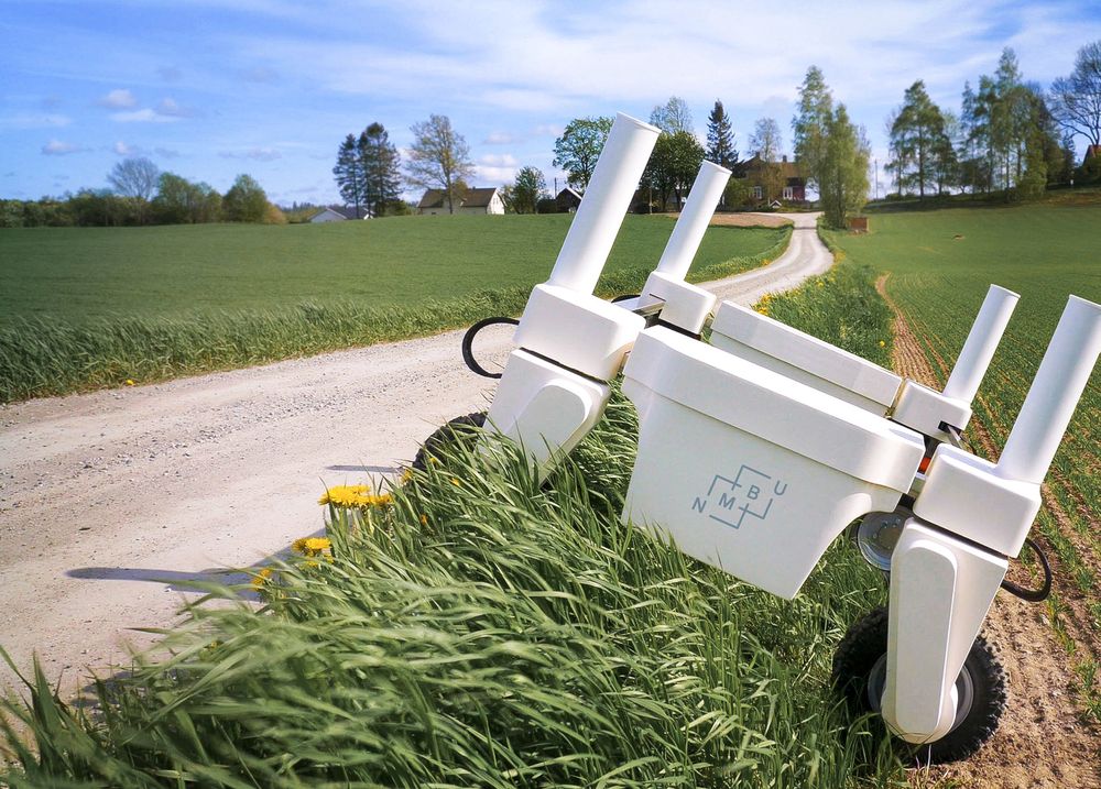 Thorvald på åkern: Den nye landbruksroboten som utvikles ved NMBU er tiltenkt mange av de samme oppgavene traktoren gjør i dag. Men mens traktoren bruker storslegga skal Torvald bli en finkirurg.