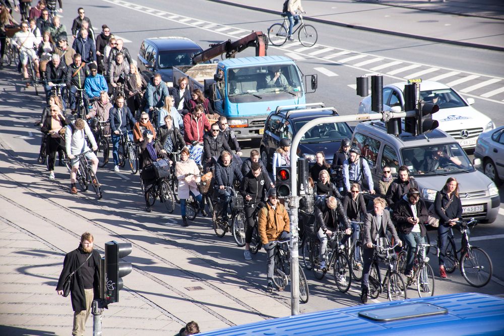 København er verdens beste sykkelby ifølge konsulentselskapet Copenhagenize Design Company. 
