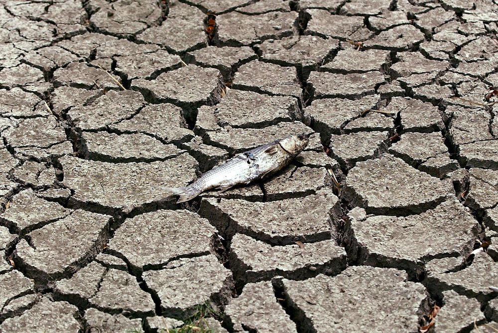 Tørken i Spania i 2005 medførte en kamp om vannet. 