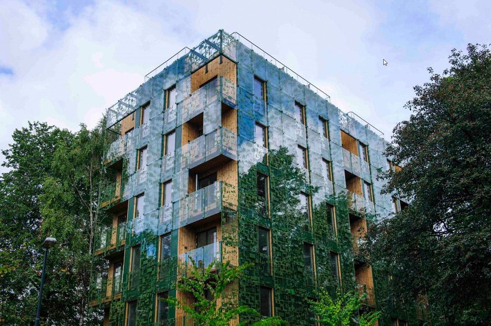 D 36 - Green House, Oslo Byggherre: Infill AS  Arkitekt: Element Arkitekter AS Landskapsarkitekter: Gullik Gulliksen AS