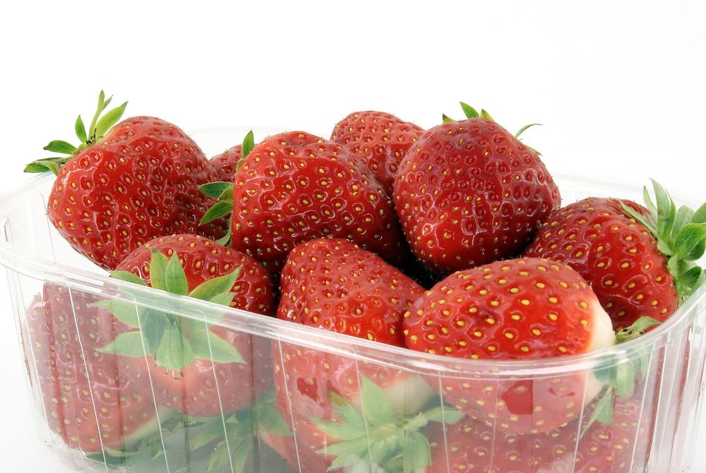 Hittil har man klart å holde spinat og rotgrønnsaken pastinakk ferske etter frysing, og man har også sett lovende resultater på jordbær.