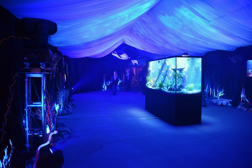 Deretter fulgte et undersjøisk tema, med blant annet et akvarium og skjermer som viste bilder av marint liv.