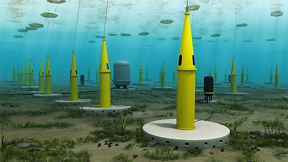 Slik ser Seabased for seg at en ferdig bølgekraftpark vil se ut under vann. 