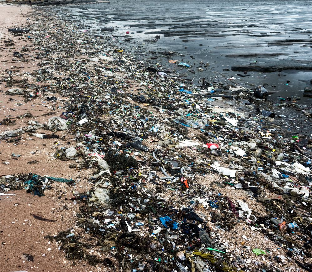 Ny app for søppeljegere: Finner du mye søppel langs stranda, kan du nå registrere alt fra plastikkgjenstander, sigarettstumper, flasker og fiskeutstyr i den nye appen LitterWatch. 