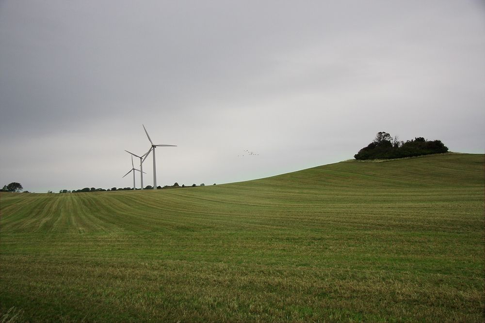 ABB har vunnet en kontrakt om å koble vindkraftprosjektet Pen y Cymoedd, den største landbaserte vindparken i England og Wales, til nettet. 