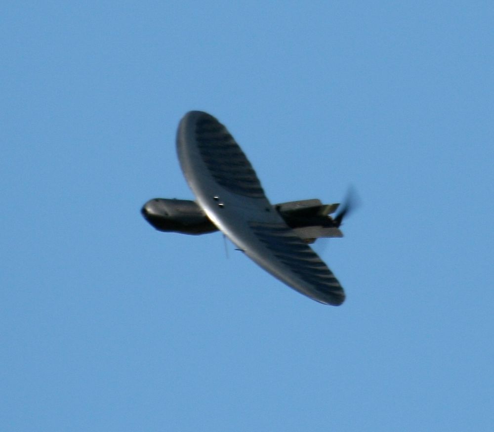 Maveric har et vingespenn på 71 centimeter, og veier i overkant av en kilo. Den kan nå en høyde på 7600 meter, og flyr i hastigheter på mellom 30 og 105 kilometer i timen.