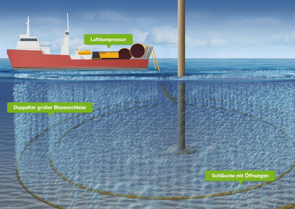 To slanger legges på havbunnen og blåses opp med trykkluft. Slik dannes en dobbel boblegardin som skal hindre støy fra nedhamringen av fundamentene.
