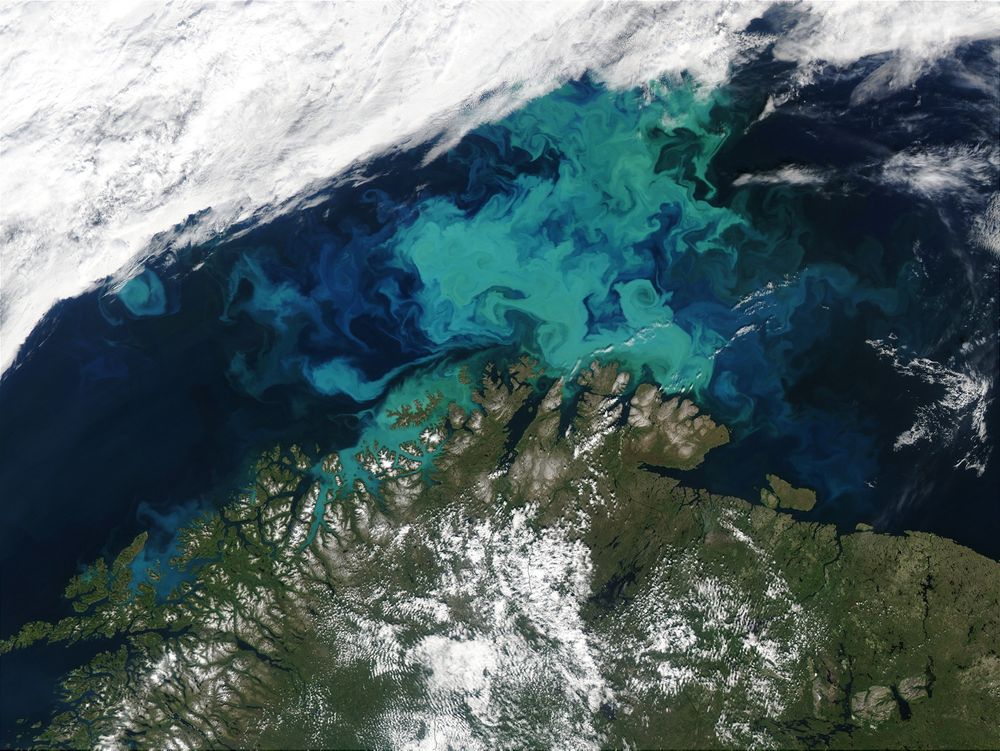 Dette satellittbildet fra Envisat viser algeoppblomstring i Barentshavet – og samtidig noen av de komplekse strømstrukturene i havområdet. 