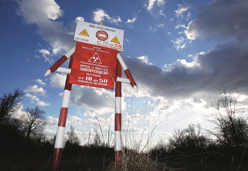 In this Wednesday, March 23, 2011 photo a radiation danger sign  is  seen in the state radiation ecology reserve in the village of Babchin, near the 30 km exclusion zone around the Chernobyl nuclear reactor, some 370 km ( 231 miles) south-east of Minsk, Belarus. The Chernobyl reactor exploded on April 26, 1986 spewing fallout in the world's worst nuclear accident. (AP Photo/Sergei Grits) 