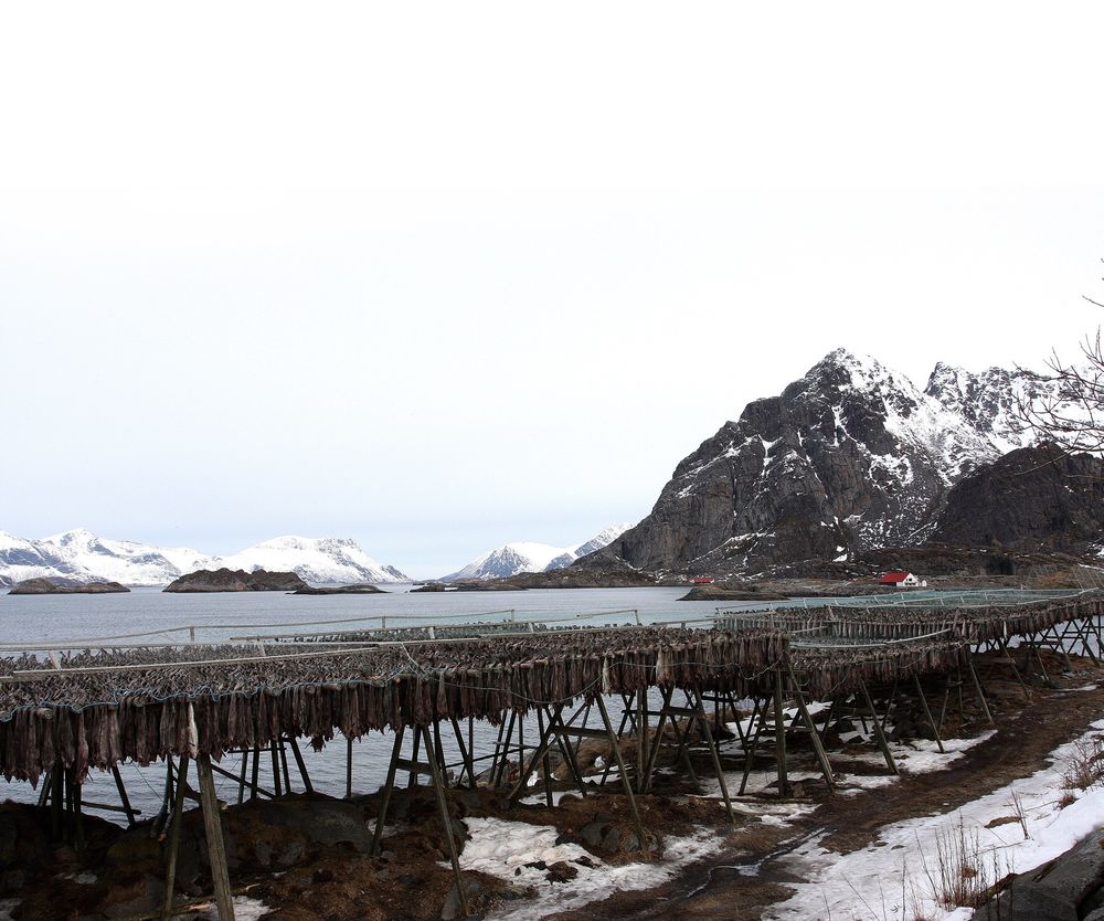 Kan se aktivitet allerede neste år: Nordland VI i Lofoten er allerede konsekvensutredet. Nå kreves det fra flere hold at området starter aktivitet neste høst. Foto: Leif Hamnes  