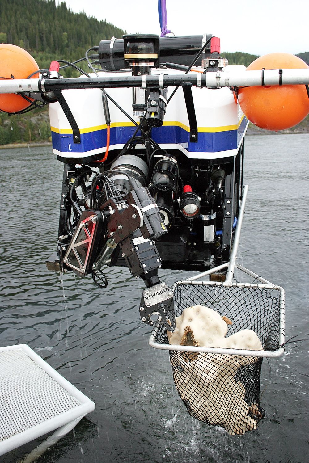 MINIUBÅT: Forskerne ved Sintef har brukt miniubåt for å hente interessante organismer opp fra dypet i Trondheimsfjorden. 