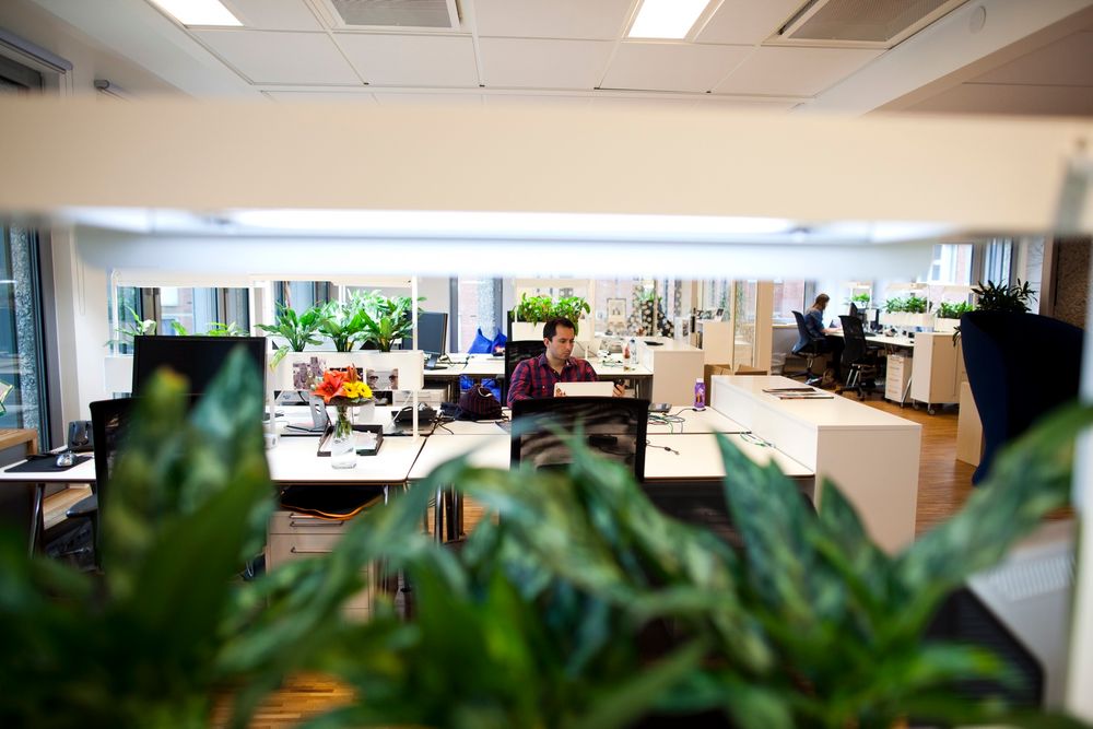 BIOOFFICE: Organisk materiale og simulert dagslys på konoret skal gi mer energi.