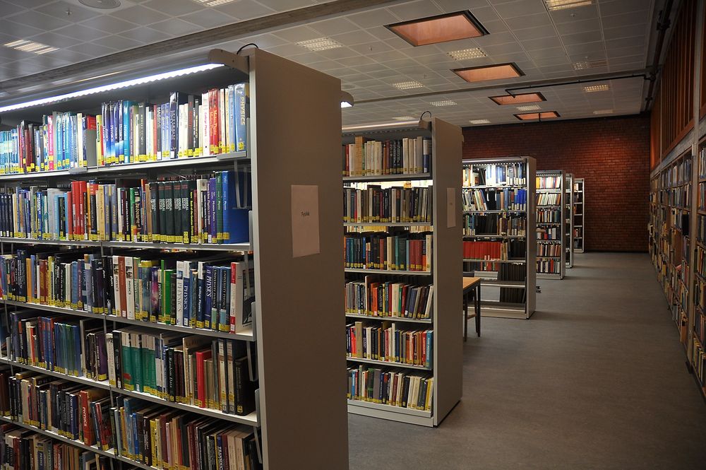BØKER: Det nye realfagsbiblioteket har også bøker. 