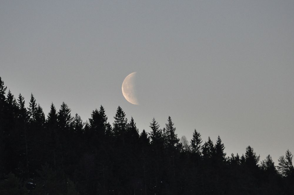 LILLOMARKA: Månen på vei ned, en tidlig morgen ved Stor-Gryta, vannet i nærheten av Grytehytta.