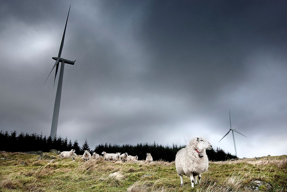 UNØDVENDIG: 230 vindkraftprosjekter har blitt meldt inn til NVE. Minst 150 av dem vil aldri bli realisert, mener NVE, som advarer mot unødvendig ressursbruk. FOTO: Håkon Jacobsen