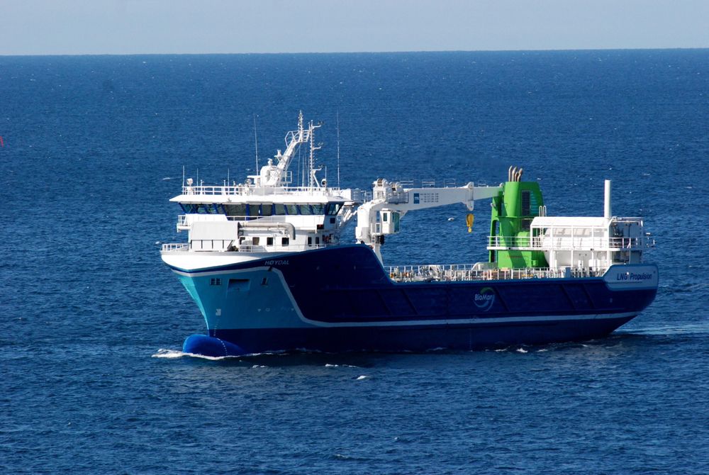 FISKEMILJØ: NSK Shipping fra Vesterålen ble verdens første rederi med fraktfartøy som går på ren gass, "lean burn" LNG-motorer fra Rolls-Royce. Skipet frakter fiskefôr til oppdrettsanlegg for Biomar. 