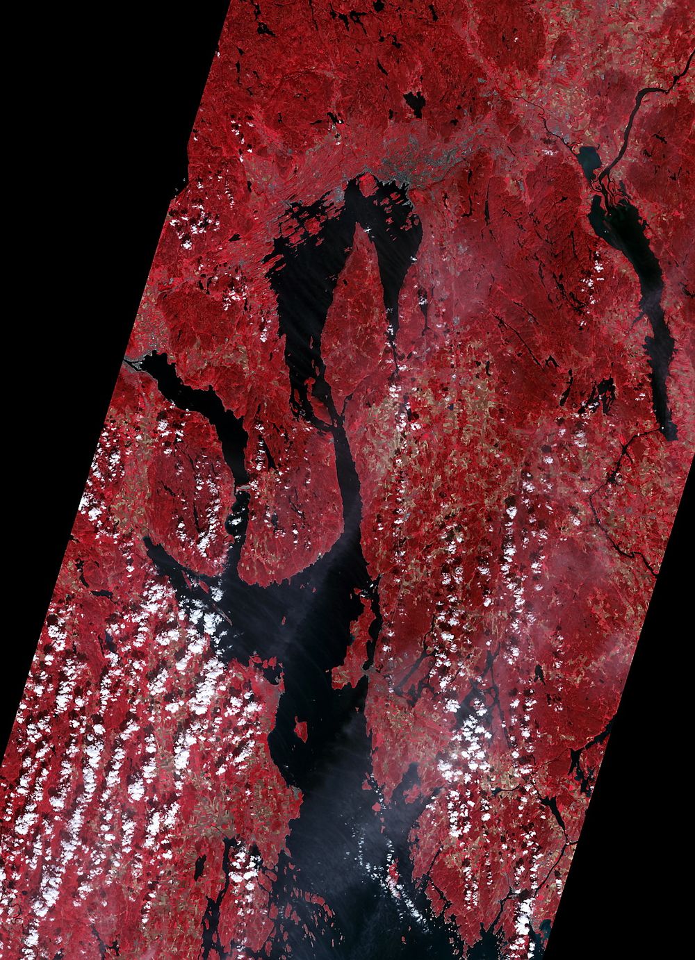 OSLOFJORDEN: NASAs Terra-satellitt tok dette bildet 26. august, 2000. Vegetasjon fremstår i rødt og urbane områder er blågrå. 