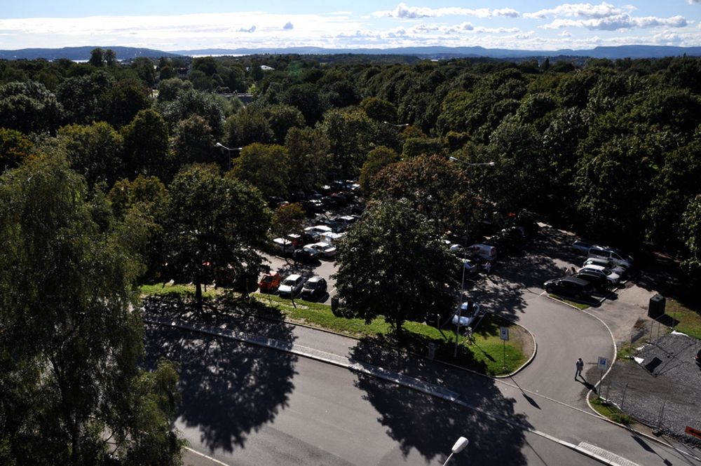 FROGNERPARKEN: Utsikt fra takterrassen på NVE-bygget.