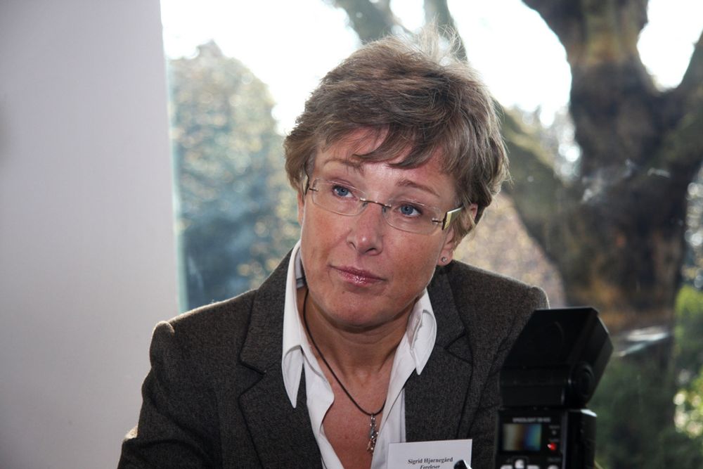 TILBAKE I MANESJEN: Etter en karantene på kun seks måneder er tidligere statssekretær Sigrid Hjørnegård tilbake i energimanesjen, som lobbyist for kraftbransjen.