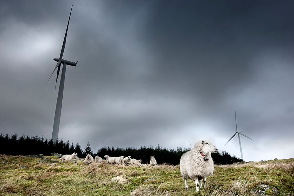 Norske vindparker produserer gjennomgående mindre enn oppgitt i konsesjonssøknaden. Her fra Høg-Jæren, hvor de faktisk får det til.