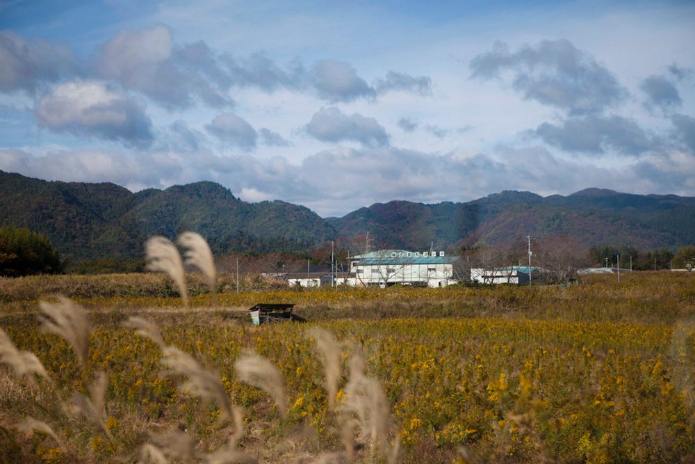 HARDT RAMMET: En åker ligger brakk i nærheten av det katastroferammede atomkraftverket Fukushima Daiichi nordøst i Japan. Store jordbruksområder i denne regionen er så sterkt forurenset av radioaktivitet, at de ikke lenger kan brukes til produksjon av matvarer, advarte fagfolk tirsdag. Regionen ble 11. mars i år rammet av et jordskjelv og en tsunami, og kraftverket fikk store skader.