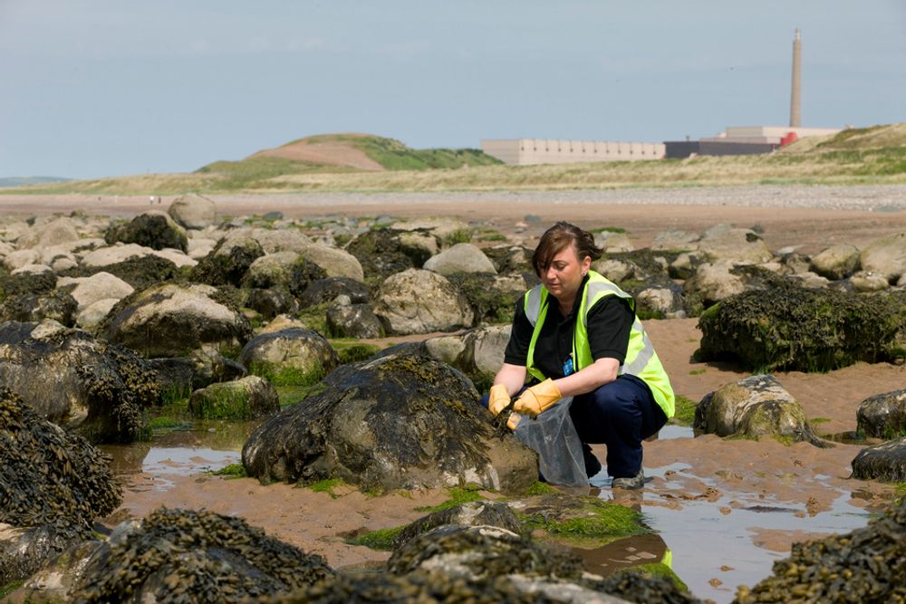 OVERVÅKER MILJØET: Her tar en av de Sellafield-ansatte prøver i fjæra for å finne ut om det kan spores radioaktive utslipp.