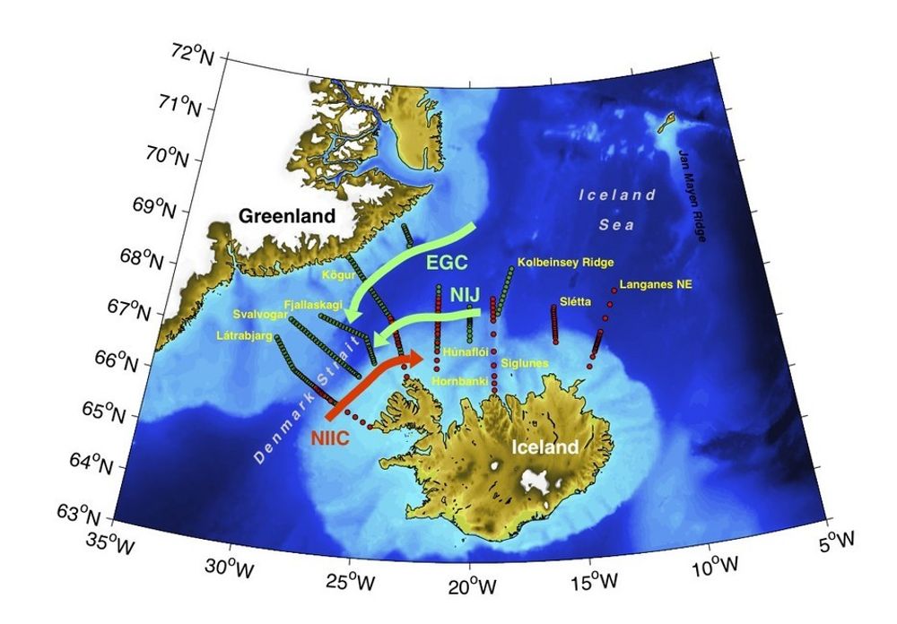 NYOPPDAGELSE: Havstrømmer gjennom Danmarkstredet. Forkortelsene er: EGC = Østgrønlandstrømmen; NIJ = Nordislandjeten; NIIC = Golfstrømmens forlengelse vest av Island. Observasjoner fra ekspedisjonene i oktober 2008 og august 2009 er merket med henholdsvis grønt og rødt.
