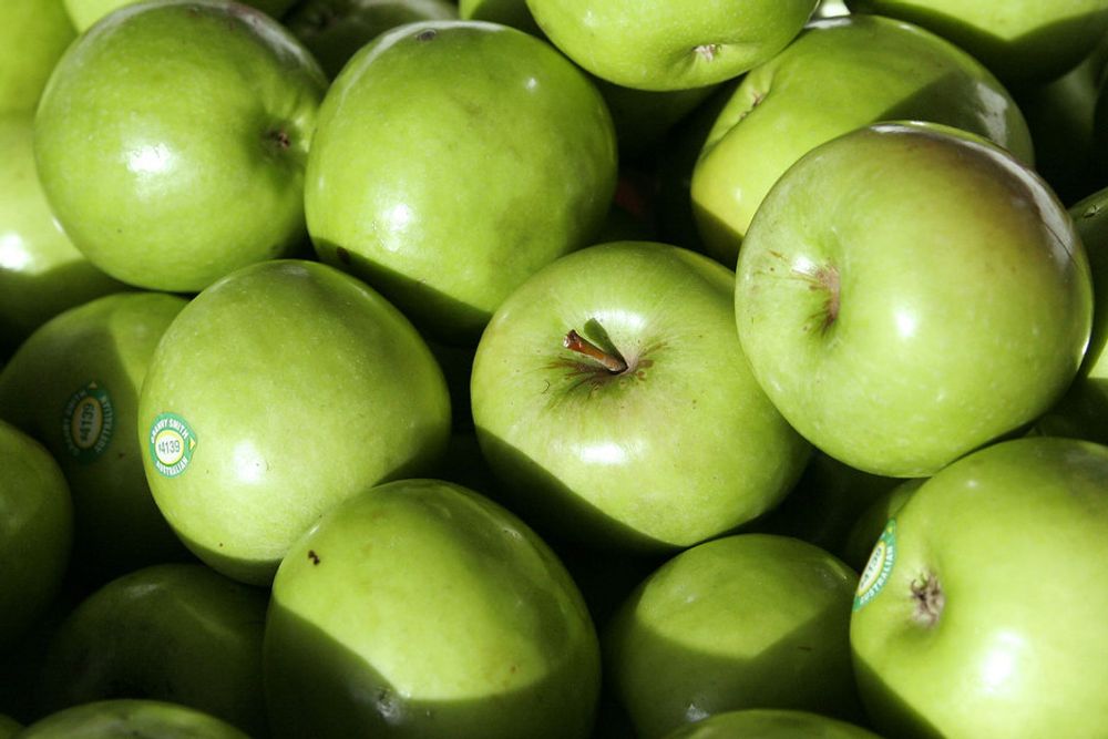 TESTES: Det candiske selskapet har slått av dette genet i eplesortene  Granny Smith, Golden Delicious, Gala og Fuji.