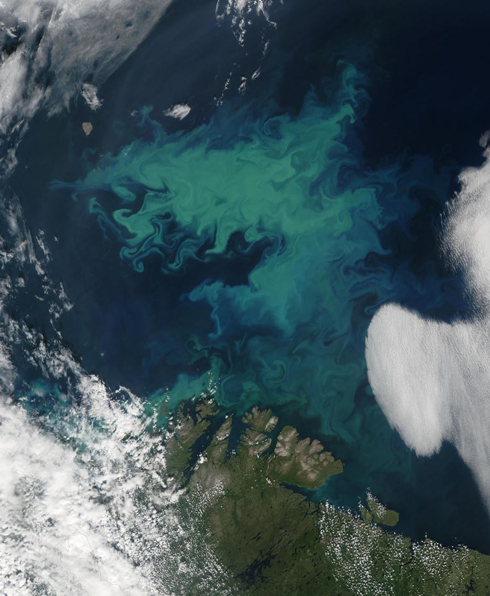 Barentshavet fotografert fra satellitt.