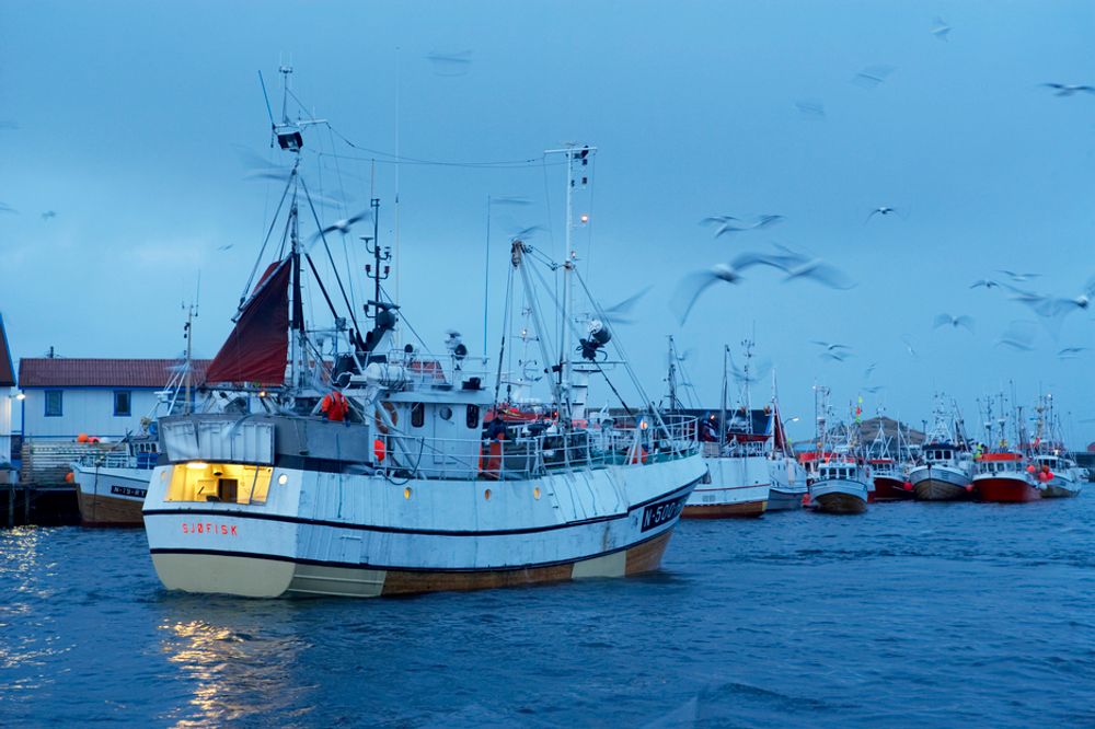 LITE FISKEDØD: Fiskerne i Lofoten har stort sett bare arealkonflikter å frykte ved oljeboring.