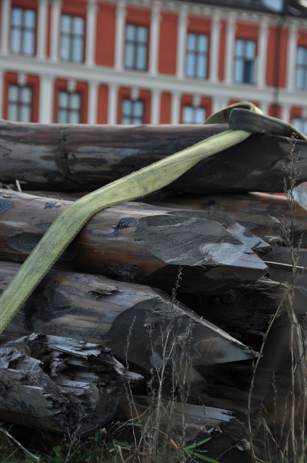 HISTORISK: Disse pelene som ligger stablet ved Oslogate, er trolig over hundre år gamle og ser ut til å ha holdt seg godt i Bjørvikas kvikkleire.