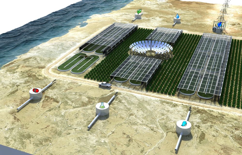 "Algefabrikken" til Bellona slik den er tenkt i Sahara. Nå står Qatar for tur.